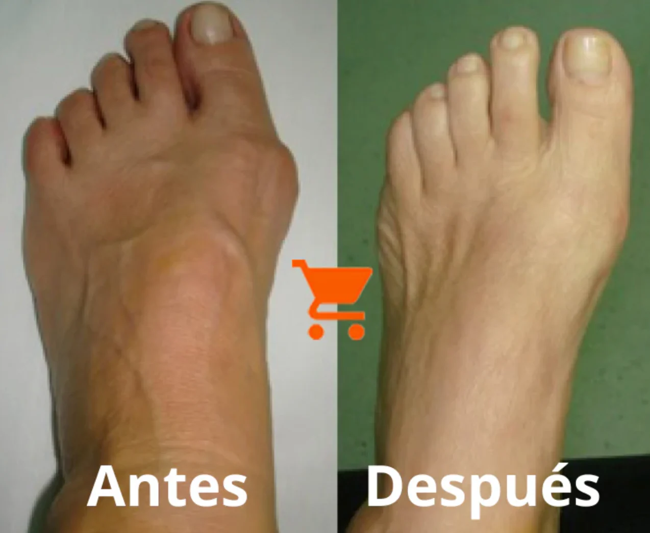 Imagen del producto 2